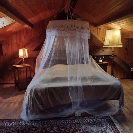 Bed & Breakfast A La Maison Des Oiseaux Saint-Avit-Sénieur