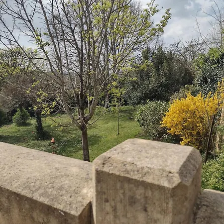 לינה וארוחת בוקר A La Maison Des Oiseaux