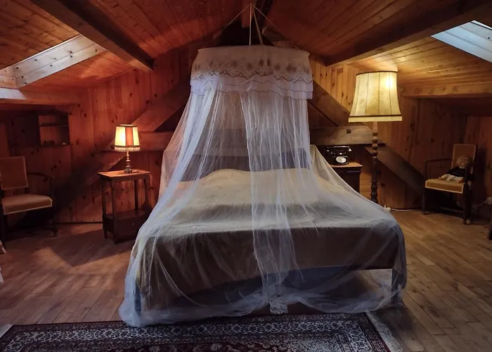 Bed & Breakfast A La Maison Des Oiseaux Saint-Avit-Sénieur